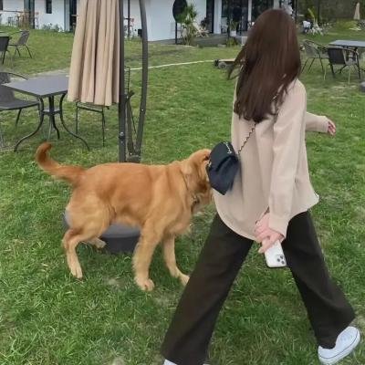 贝尔的逃生密码第一季