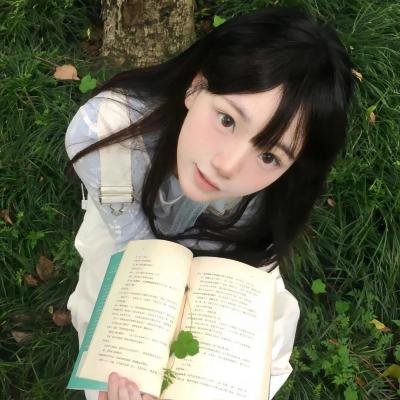 维尔·达斯：异乡游子